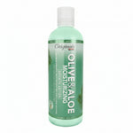 Green bottle of Olive & Aloe moisturizing lotion on a white background