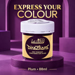 A jar of La Fiché Directions semi-permanent conditioning hair colour in Plum, 88ml, displayed on a dark purple pedestal against a purple studio background with the text 'EXPRESS YOUR COLOUR' and 'Plum • 88ml'.